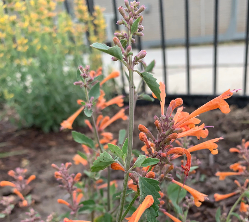 74 W MAIN ST Grantsville, UT 84029