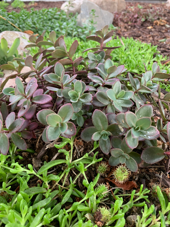 74 W MAIN ST Grantsville, UT 84029