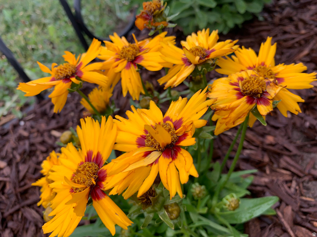 74 W MAIN ST Grantsville, UT 84029