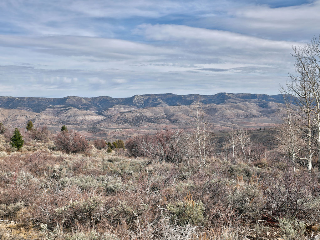 1  SEE DIRECTIONS Scofield, UT 84526