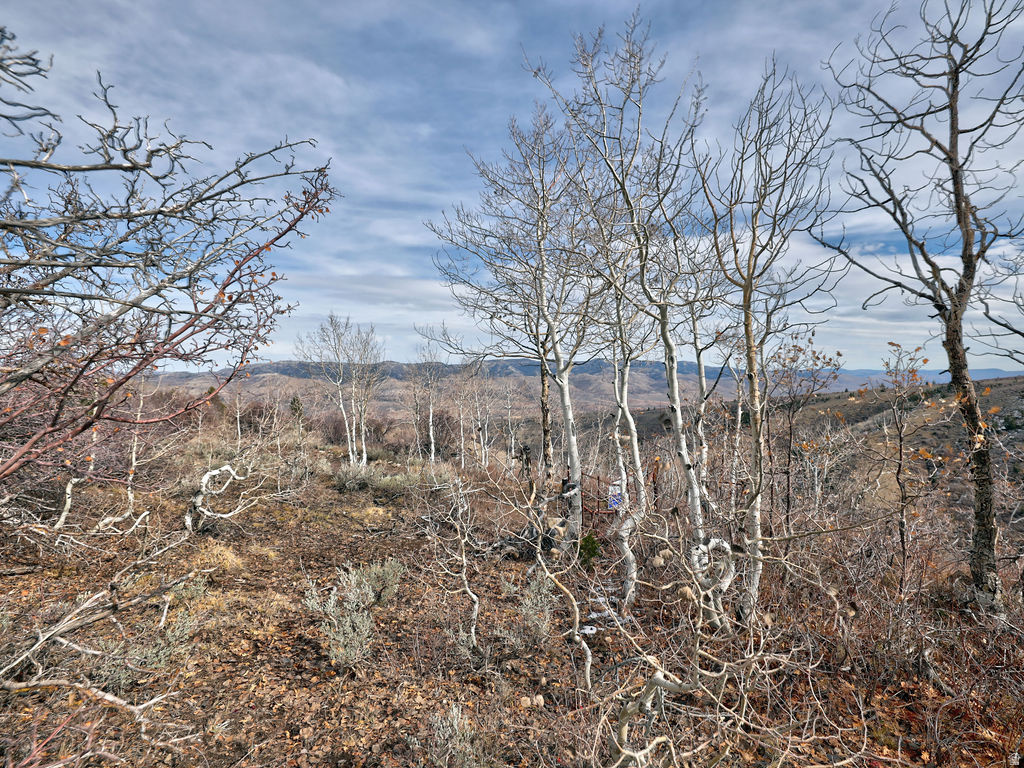 1  SEE DIRECTIONS Scofield, UT 84526