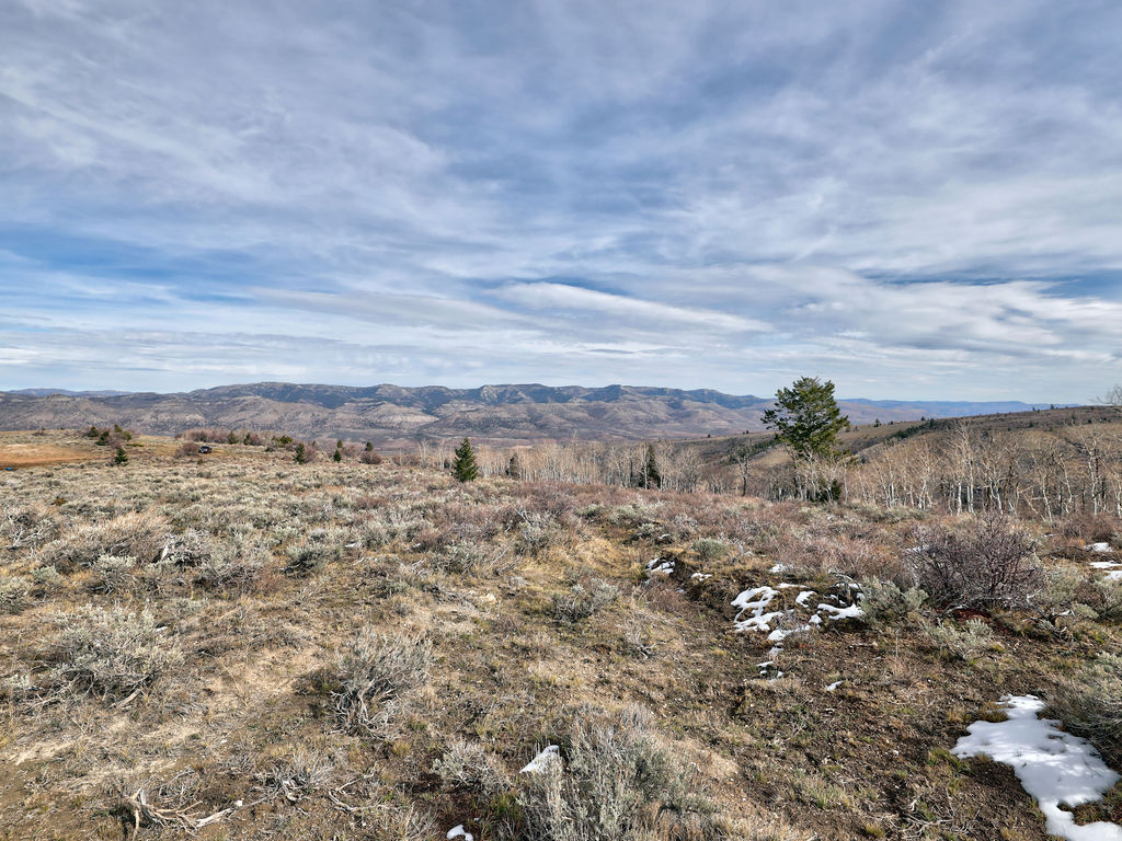 1  SEE DIRECTIONS Scofield, UT 84526