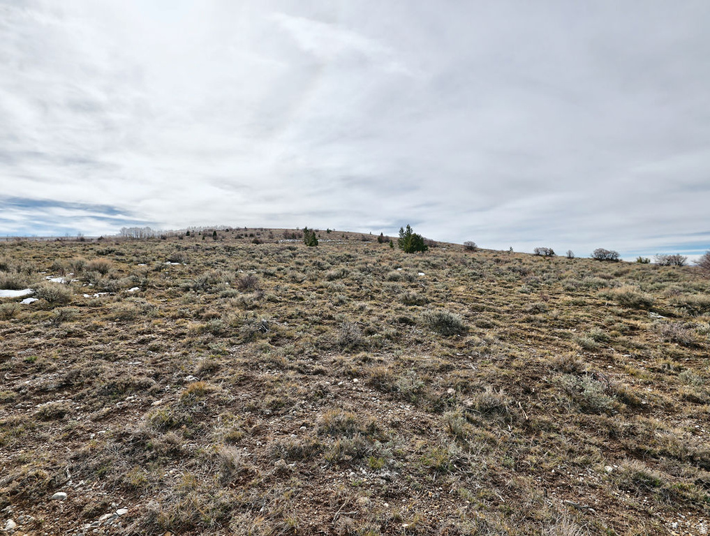 1  SEE DIRECTIONS Scofield, UT 84526