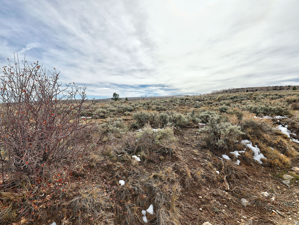 1  SEE DIRECTIONS Scofield, UT 84526