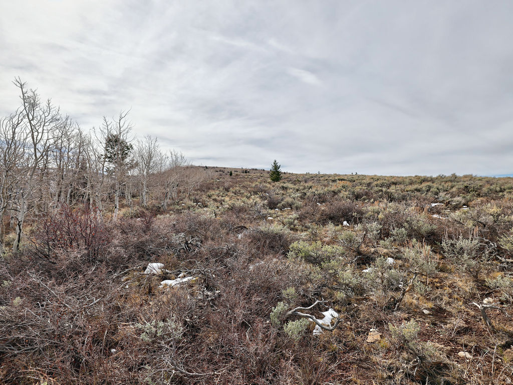 1  SEE DIRECTIONS Scofield, UT 84526