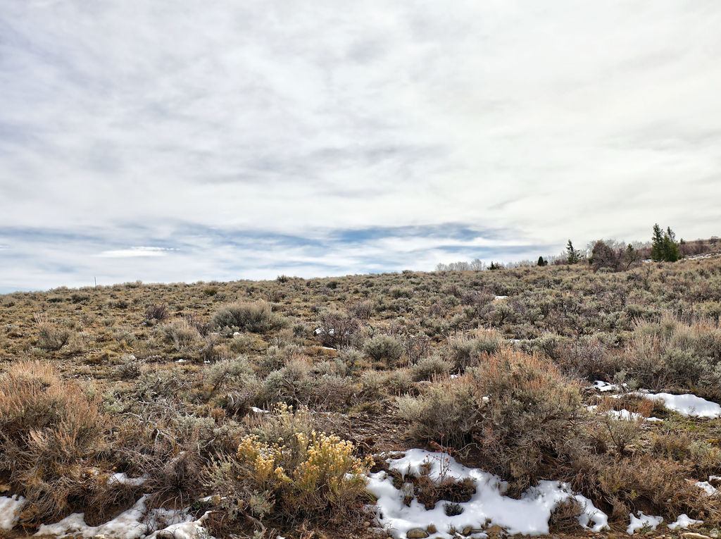 1  SEE DIRECTIONS Scofield, UT 84526