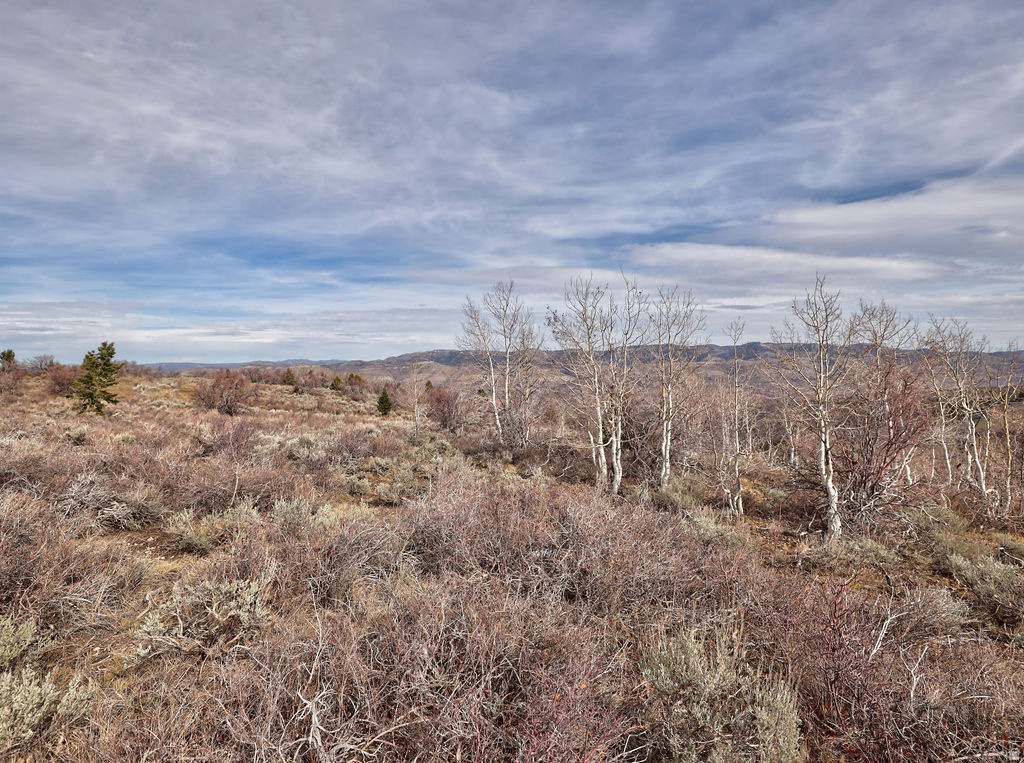 1  SEE DIRECTIONS Scofield, UT 84526