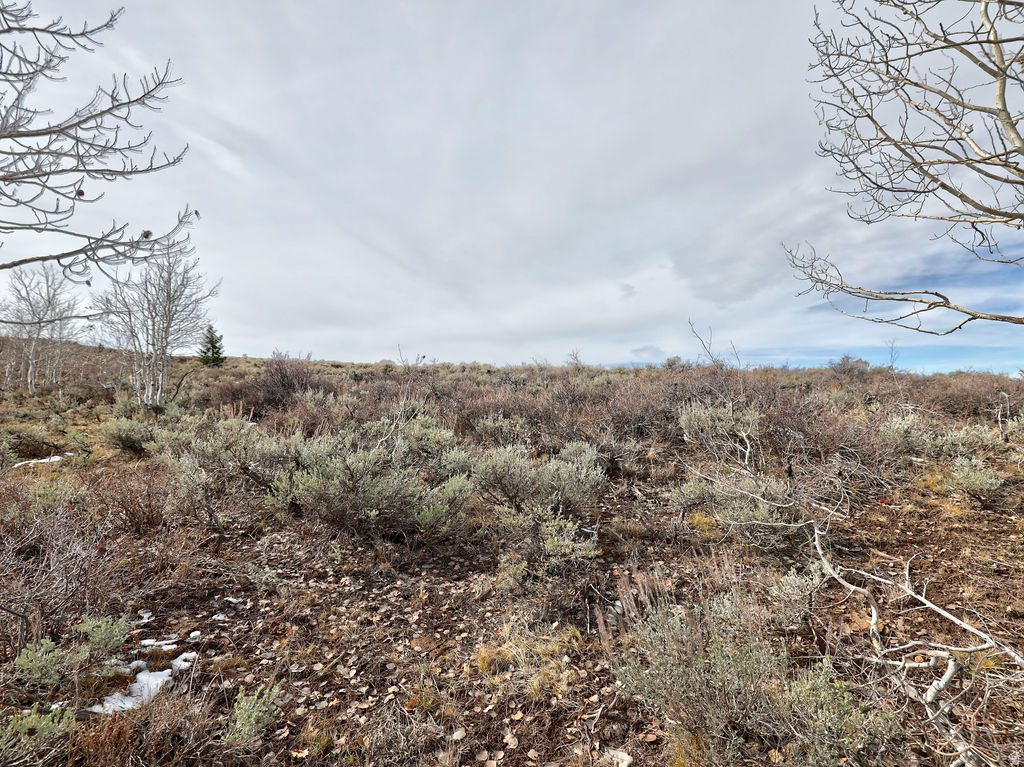 1  SEE DIRECTIONS Scofield, UT 84526