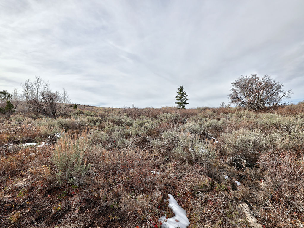 1  SEE DIRECTIONS Scofield, UT 84526