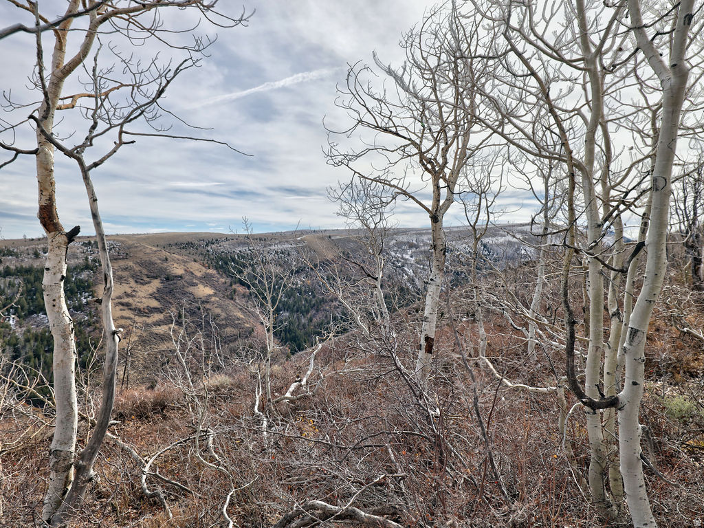 1  SEE DIRECTIONS Scofield, UT 84526