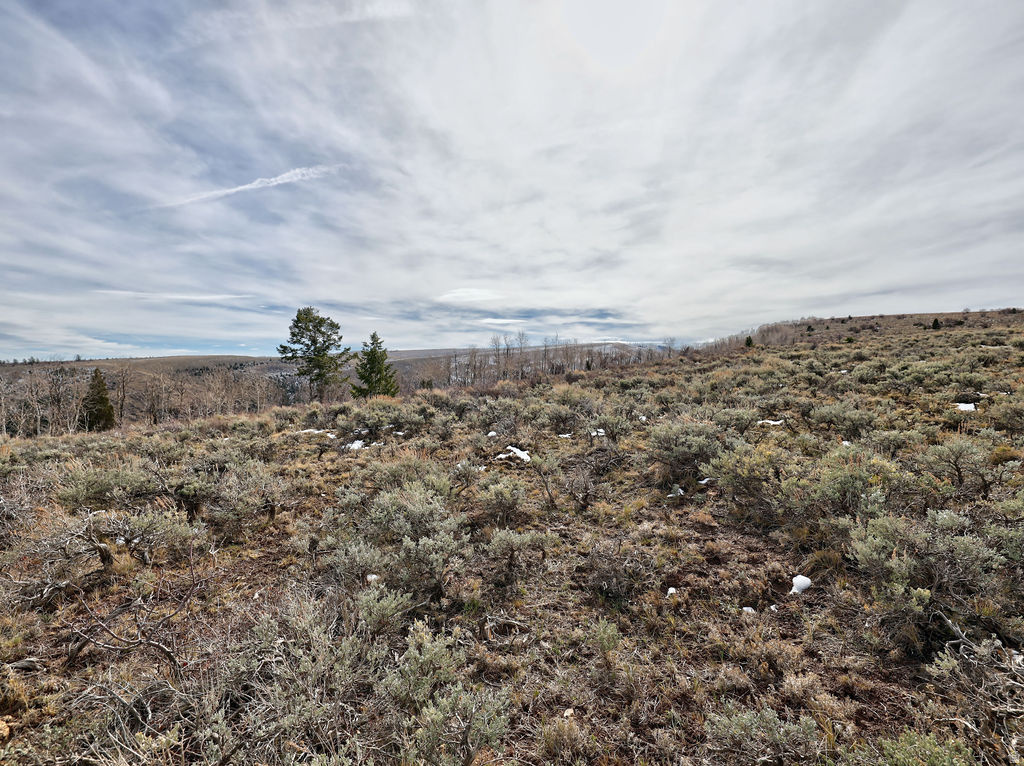 1  SEE DIRECTIONS Scofield, UT 84526