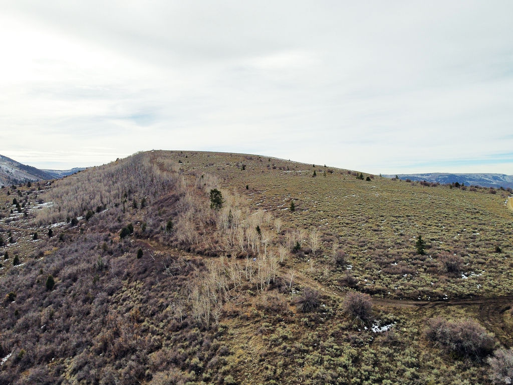 1  SEE DIRECTIONS Scofield, UT 84526