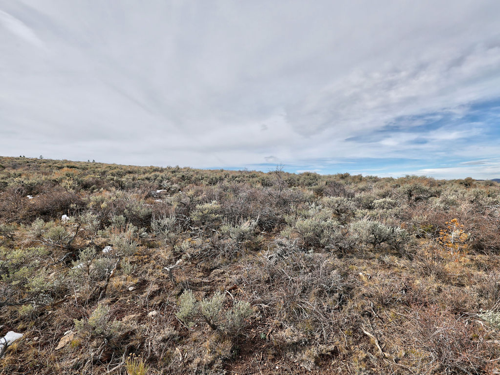 1  SEE DIRECTIONS Scofield, UT 84526