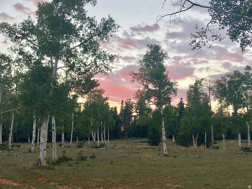 NORTH FORK RD Duck Creek Village, UT 84762