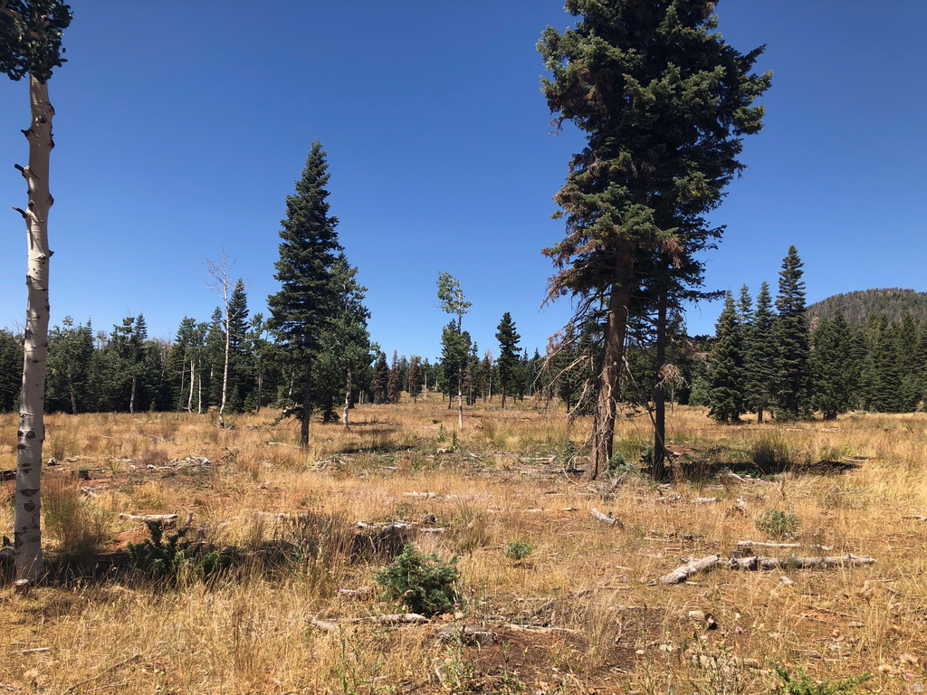 NORTH FORK RD Duck Creek Village, UT 84762