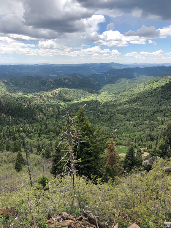NORTH FORK RD Duck Creek Village, UT 84762