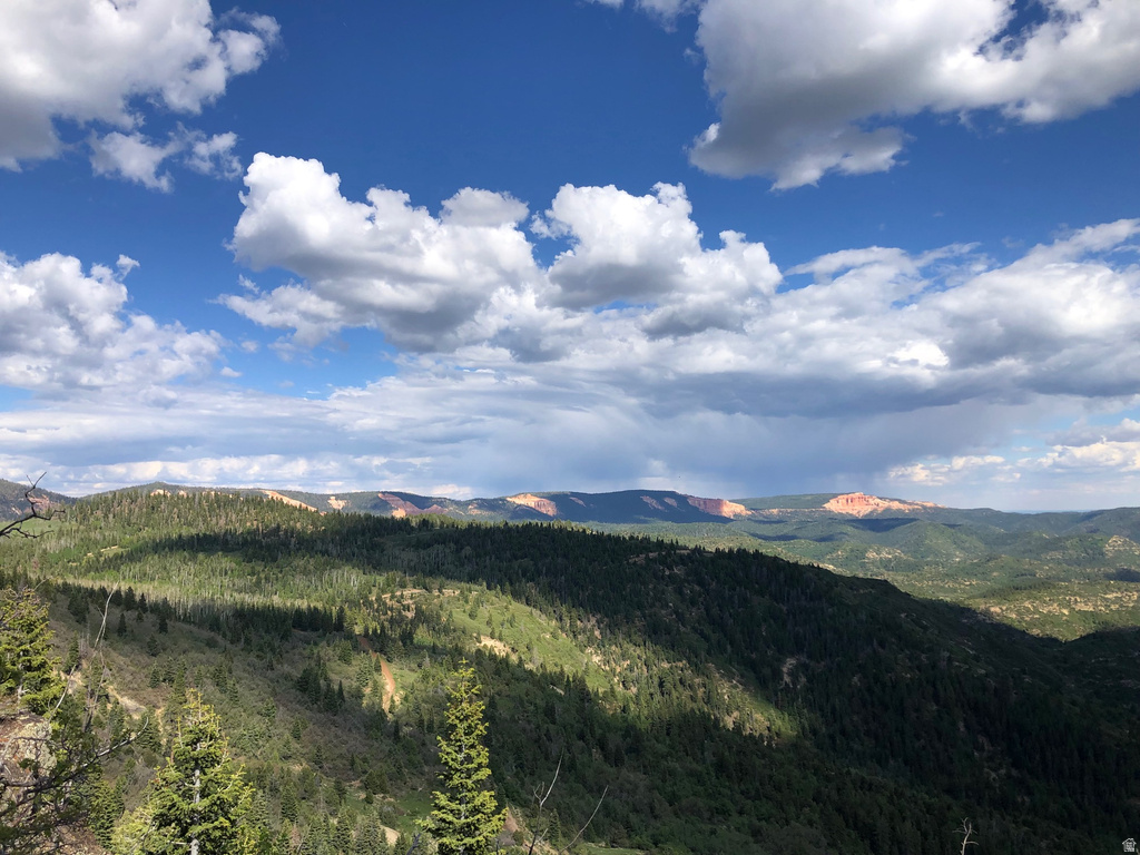 NORTH FORK RD Duck Creek Village, UT 84762