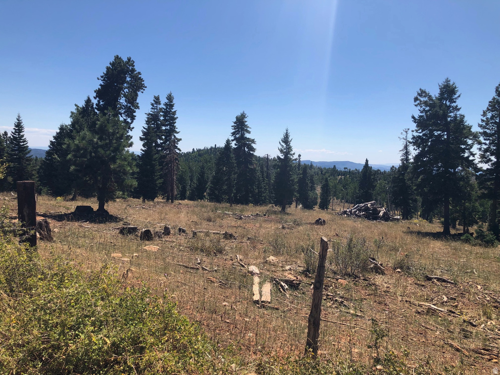 NORTH FORK RD Duck Creek Village, UT 84762