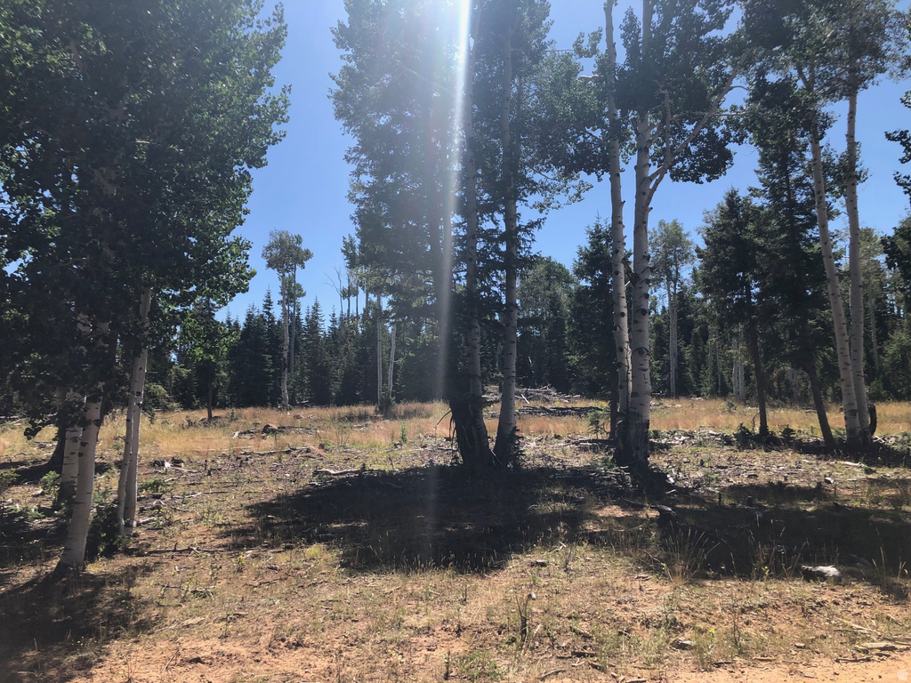 NORTH FORK RD Duck Creek Village, UT 84762