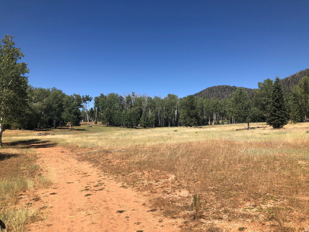 NORTH FORK RD Duck Creek Village, UT 84762