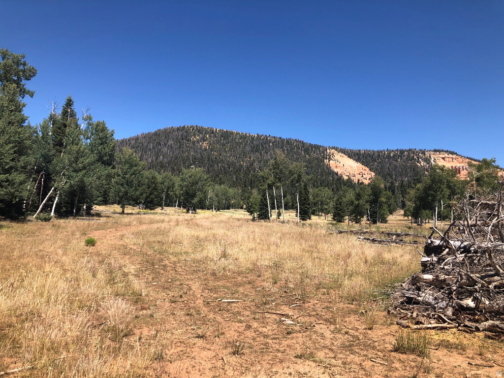 NORTH FORK RD Duck Creek Village, UT 84762