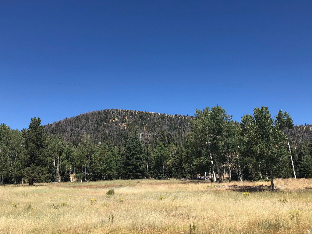 NORTH FORK RD Duck Creek Village, UT 84762