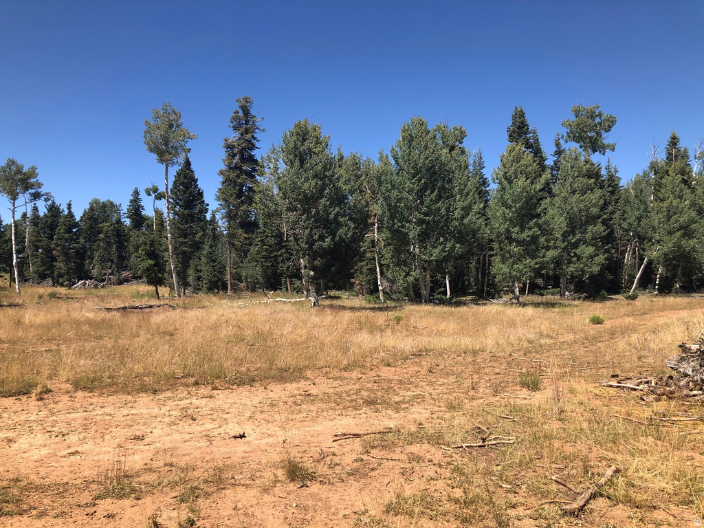 NORTH FORK RD Duck Creek Village, UT 84762