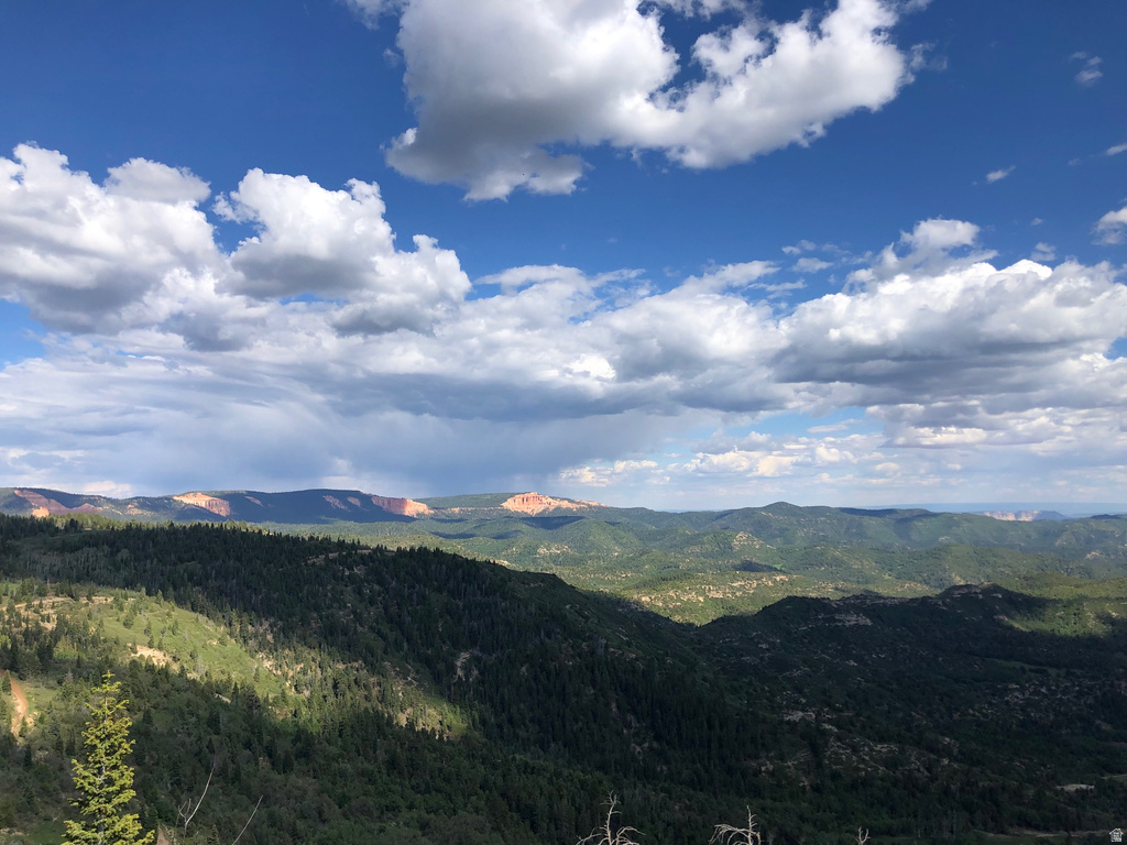 NORTH FORK RD Duck Creek Village, UT 84762