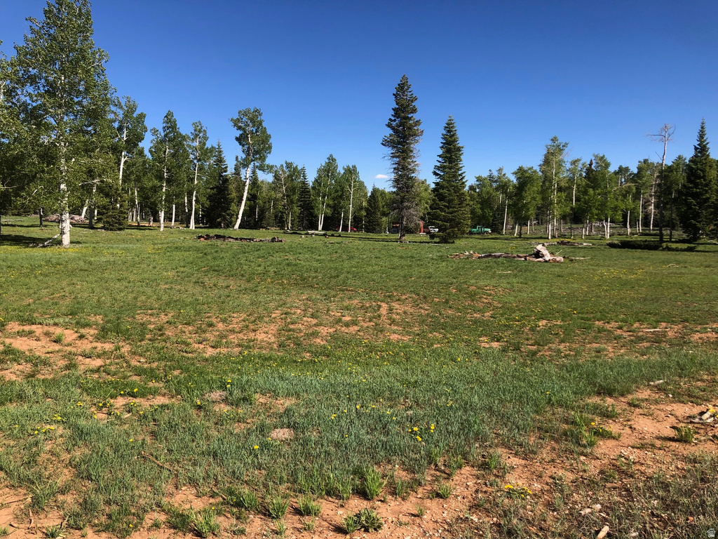 NORTH FORK RD Duck Creek Village, UT 84762