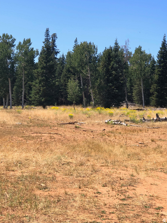 NORTH FORK RD Duck Creek Village, UT 84762