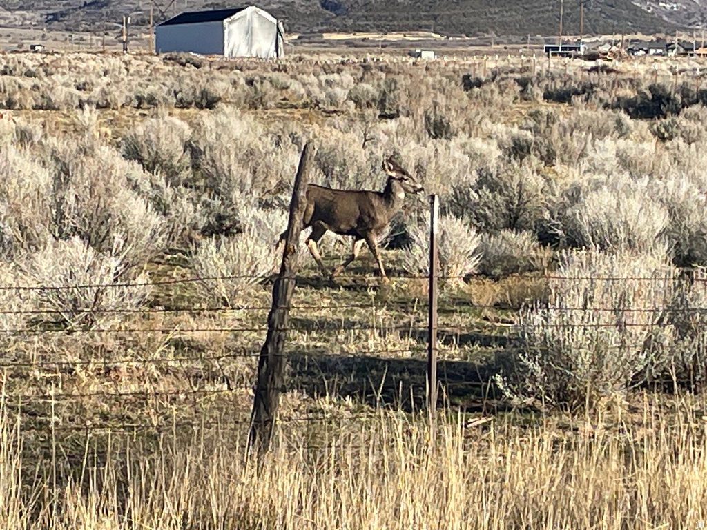 423 N 900 E Mt Pleasant, UT 84647