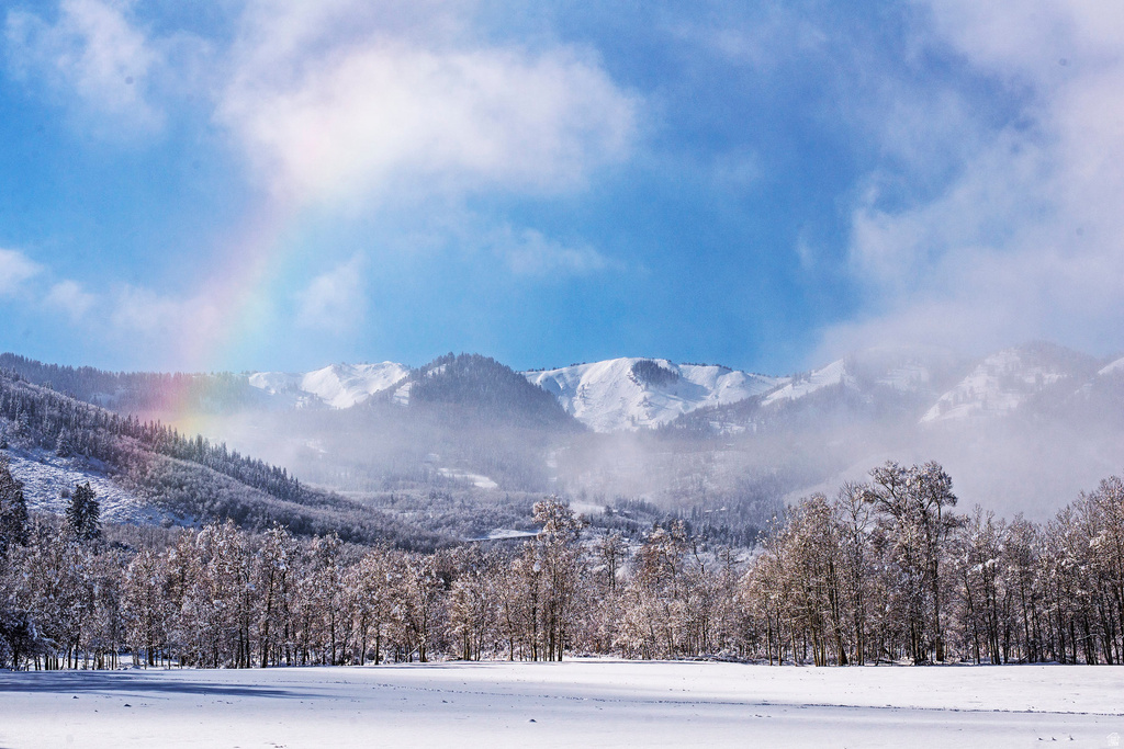 125 WHITE PINE CANYON RD Park City, UT 84060