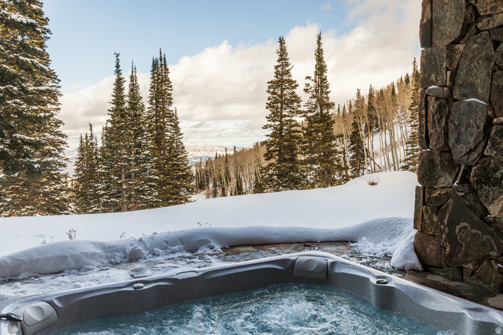 125 WHITE PINE CANYON RD Park City, UT 84060