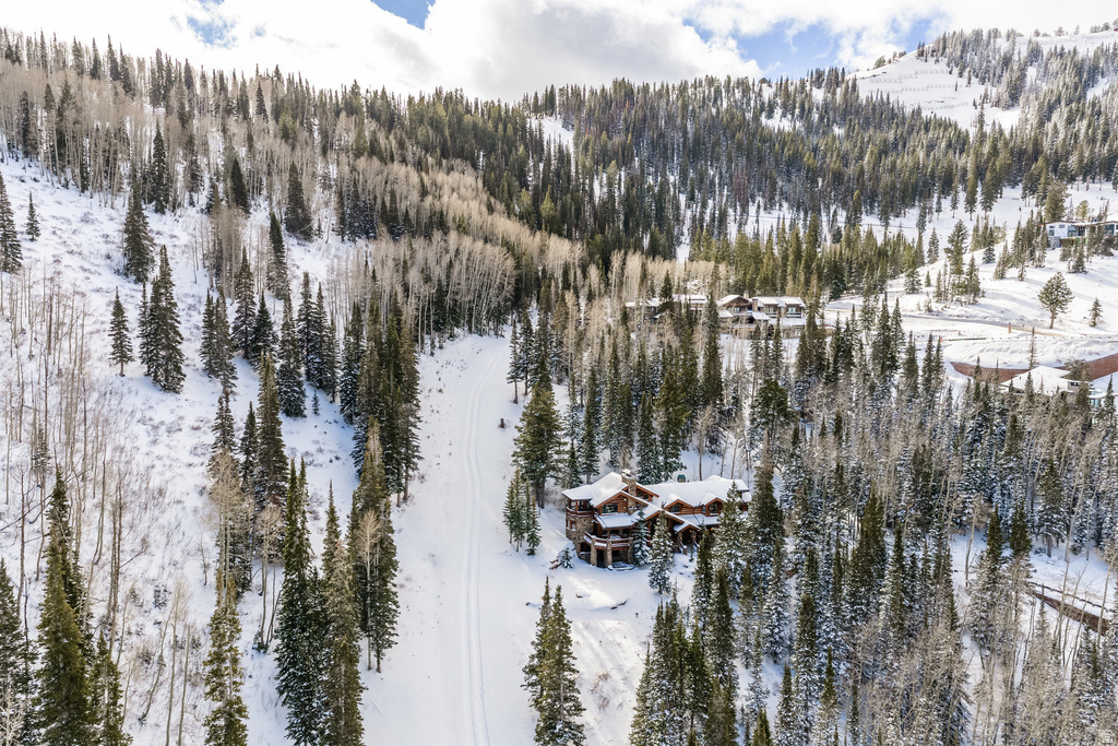 125 WHITE PINE CANYON RD Park City, UT 84060