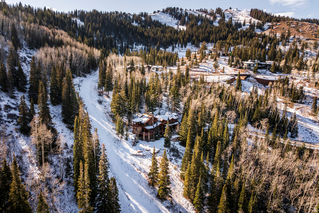 125 WHITE PINE CANYON RD Park City, UT 84060