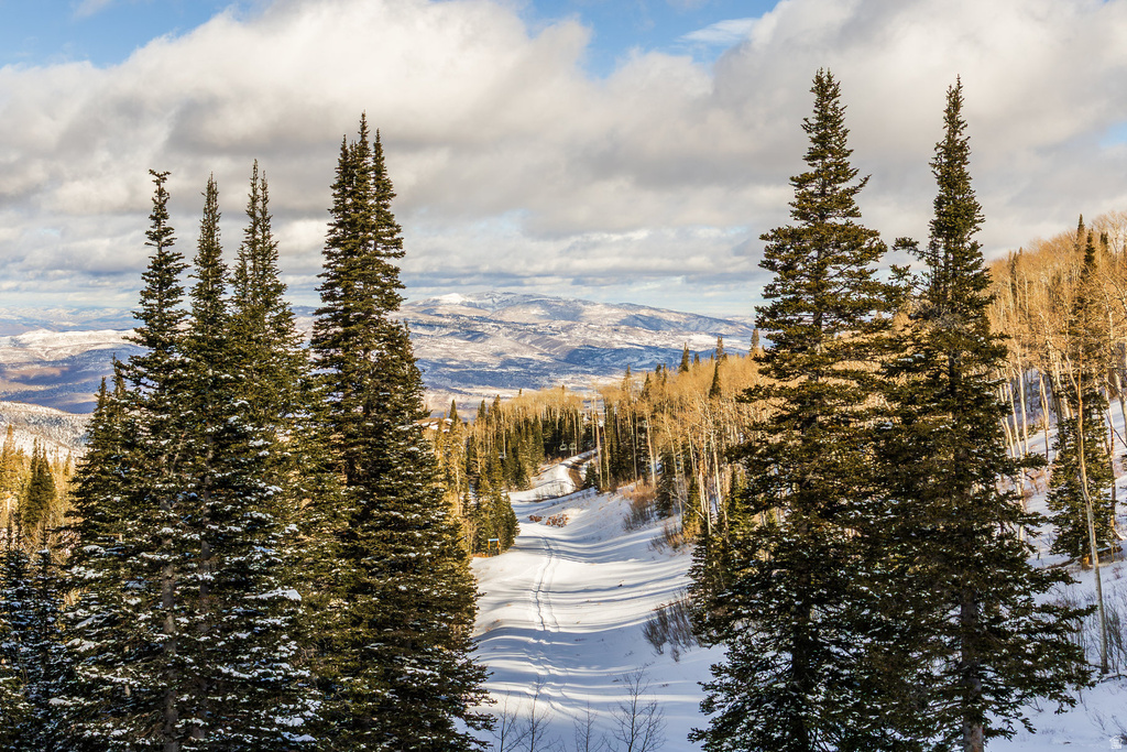 125 WHITE PINE CANYON RD Park City, UT 84060