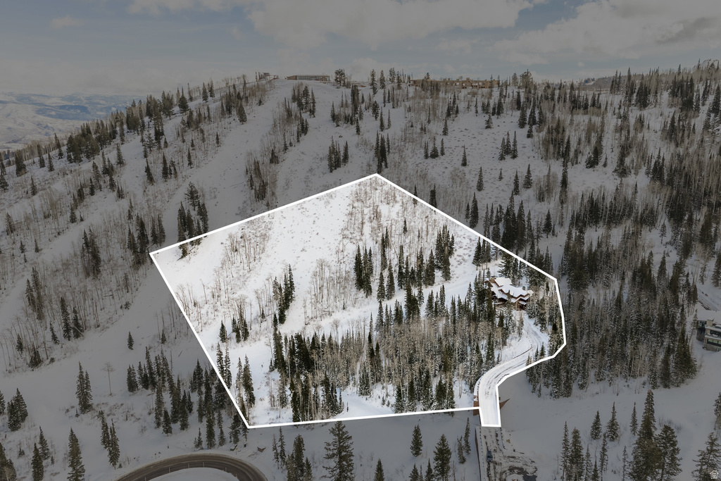 125 WHITE PINE CANYON RD Park City, UT 84060