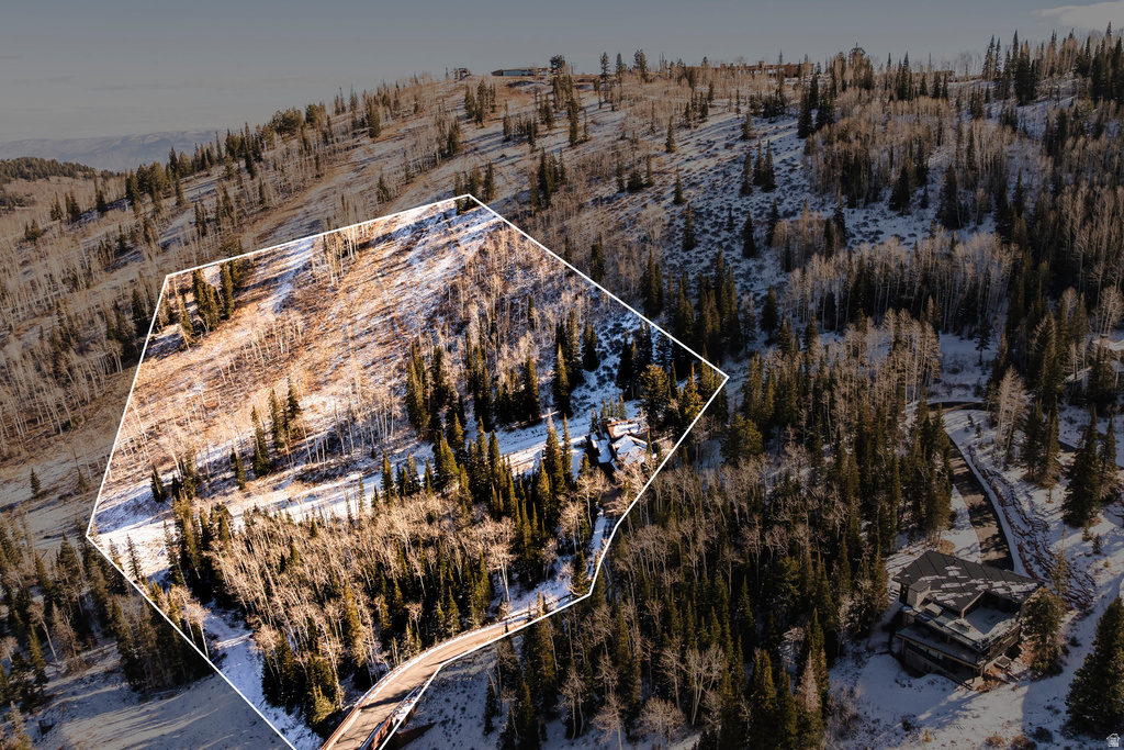 125 WHITE PINE CANYON RD Park City, UT 84060