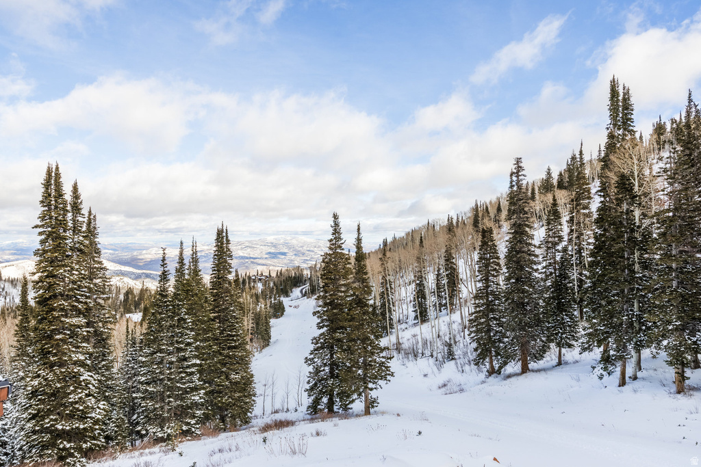 125 WHITE PINE CANYON RD Park City, UT 84060