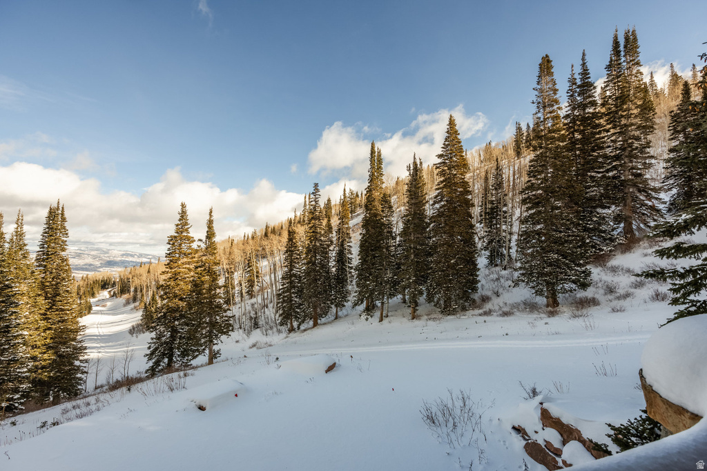 125 WHITE PINE CANYON RD Park City, UT 84060