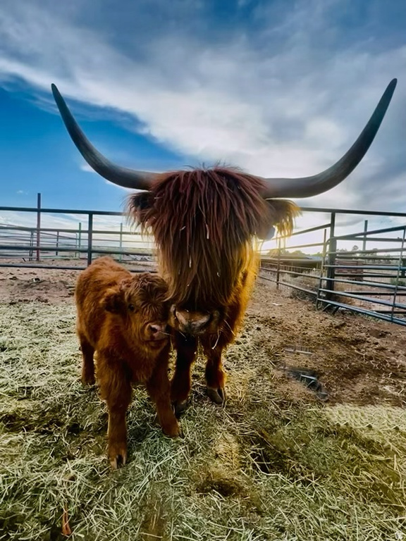 1745 N 11000 W Altamont, UT 84001