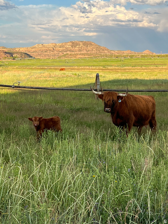 1745 N 11000 W Altamont, UT 84001