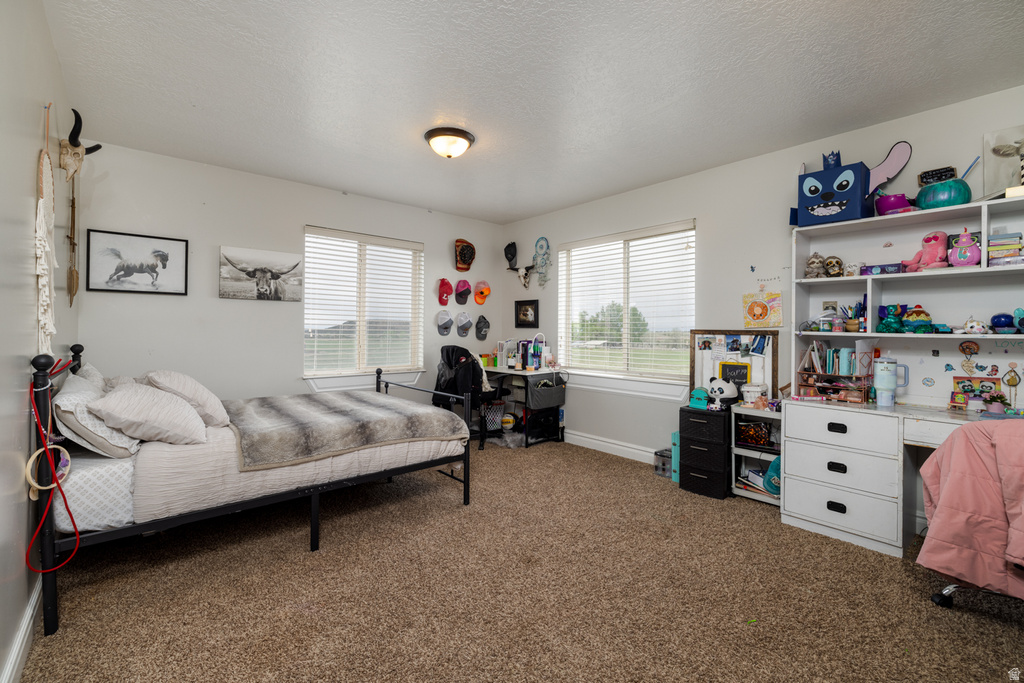 1745 N 11000 W Altamont, UT 84001