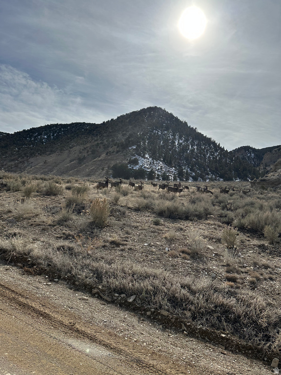 1  TRAIL HOLLOW RD Duchesne, UT 84021