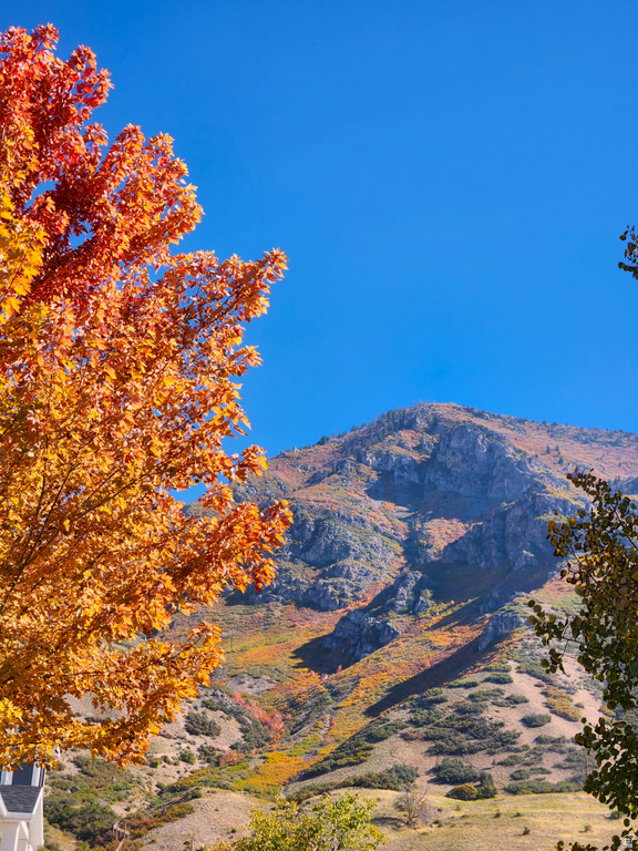 734 N HILLSDALE LN Provo, UT 84606