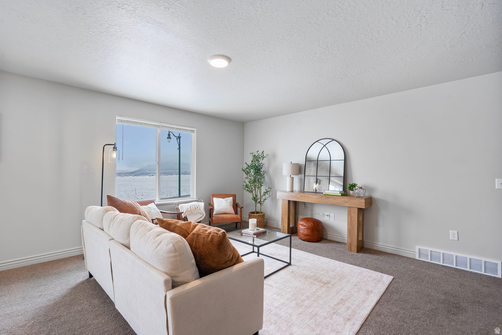 228 W 2370 N Tooele, UT 84074