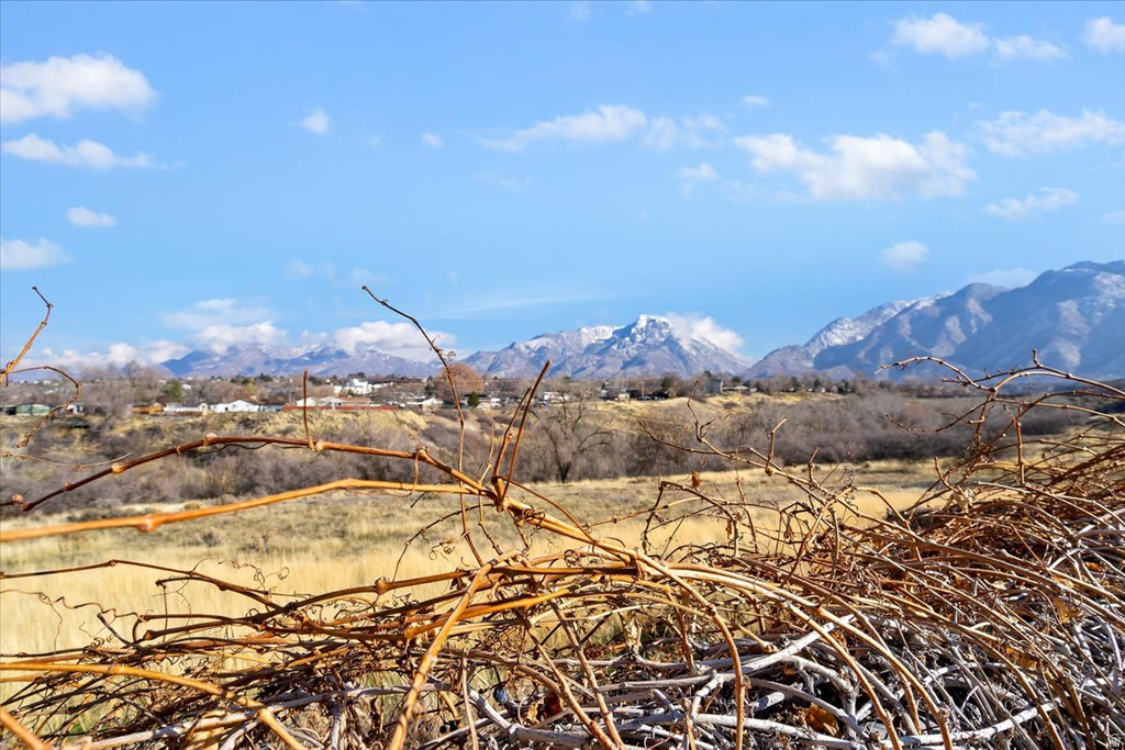 1091 E LARKSPUR DR Sandy, UT 84094