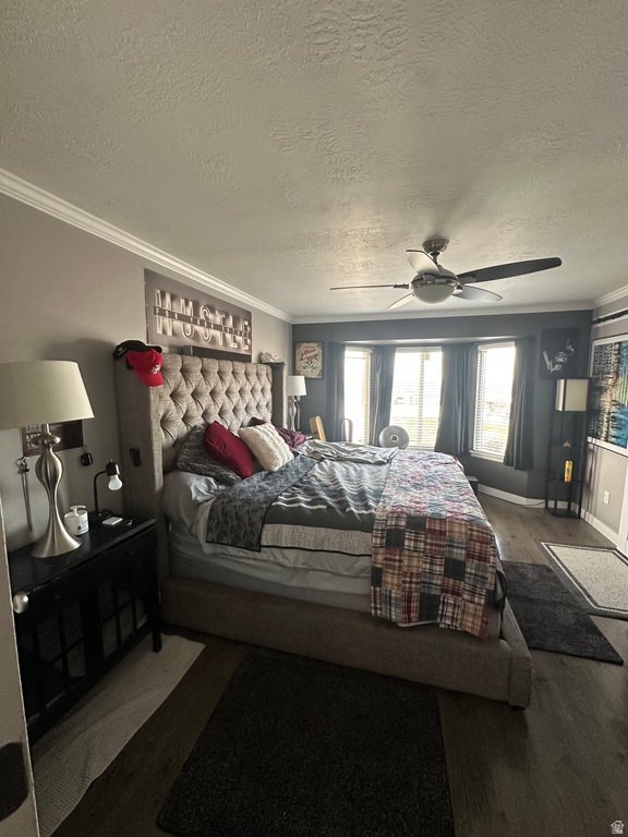 14243 S MORNING LIGHT DR Herriman, UT 84096