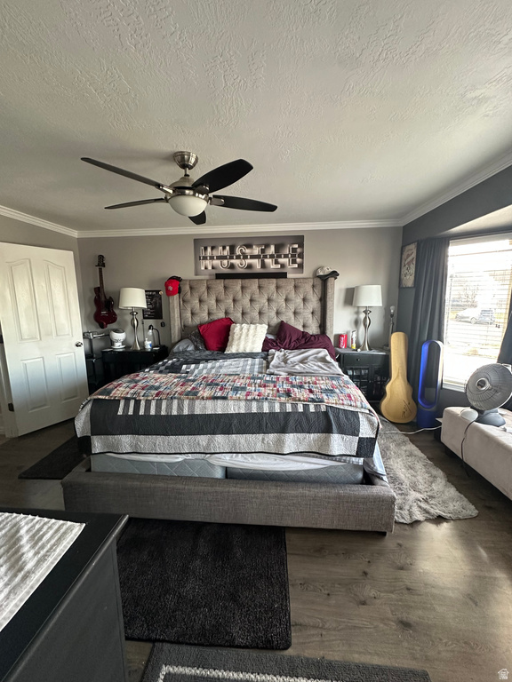 14243 S MORNING LIGHT DR Herriman, UT 84096