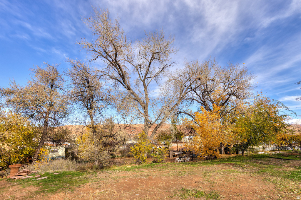 1431 S MILLCREEK DR Moab, UT 84532